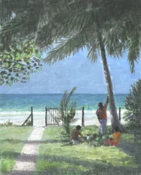 Kokosnussmann ruft, Sri Lanka, 2015